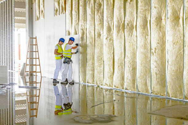 Professional Insulation in Belville, NC